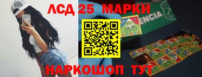 гашик Кандалакша