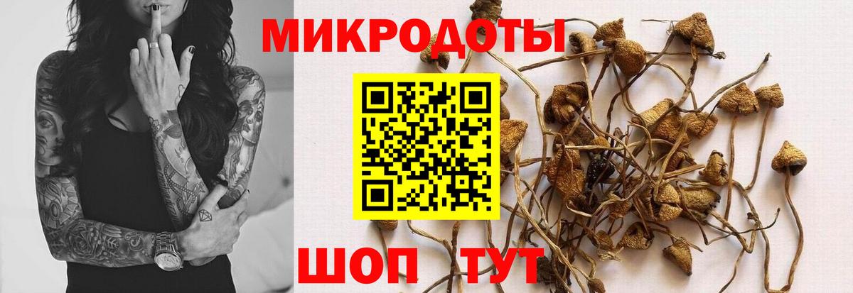 Краснокаменск  как найти   Вход с VPN  Псилоцибиновые грибы Cubensis 